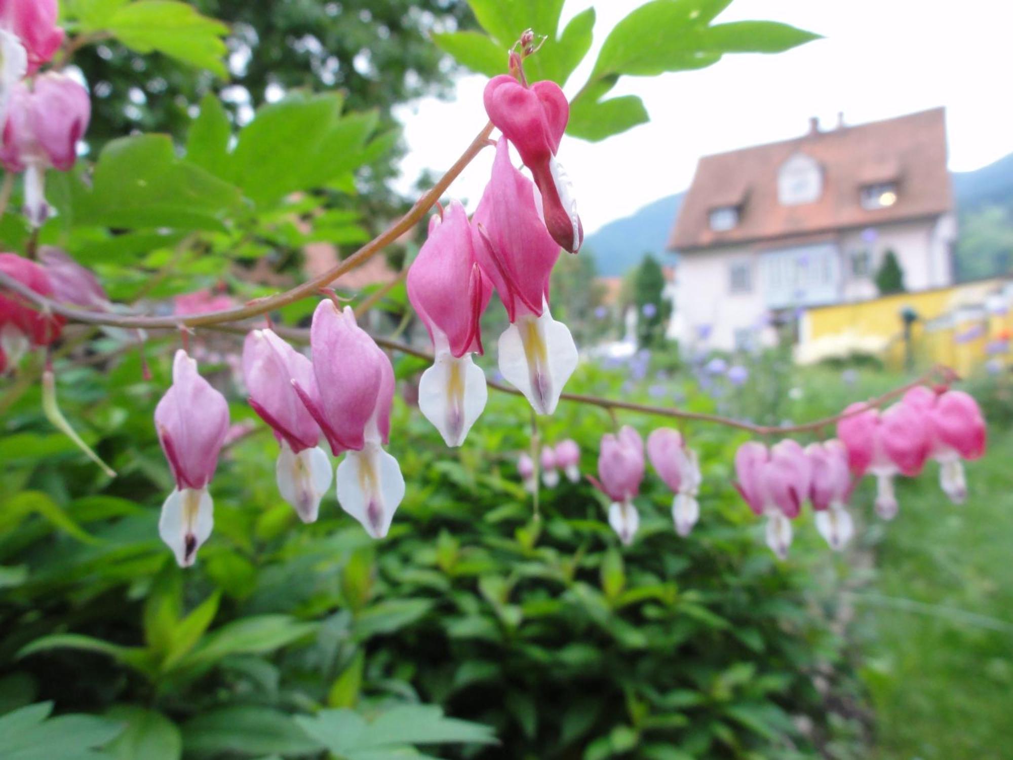 Familiengasthof Maier Mautern In Steiermark Exterior photo